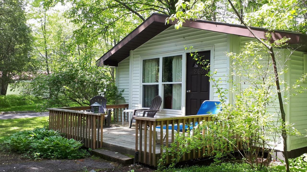 Отель Clevelands House Minett Экстерьер фото
